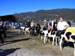 2019_ausstellung polling_655